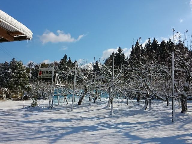 正岡観光りんご園