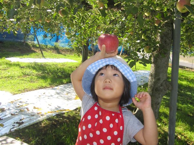 正岡観光りんご園