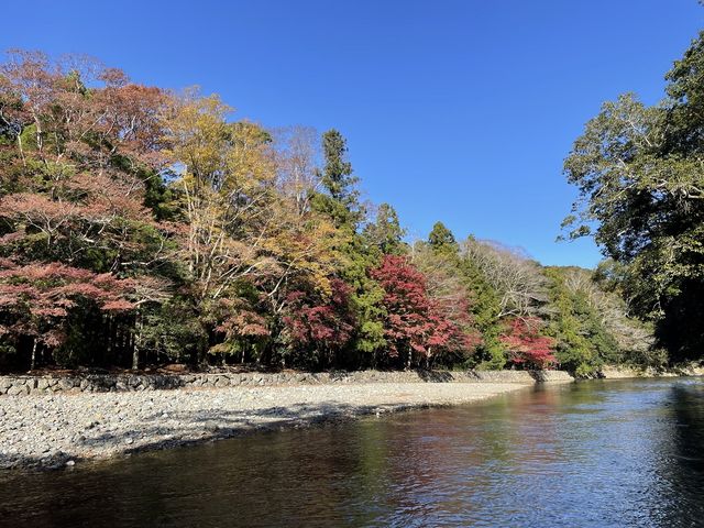 秋の五十鈴川の御手洗場_伊勢むすび工房