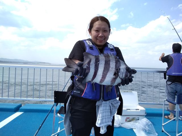 石鯛も釣れる!_新地町 海釣り公園
