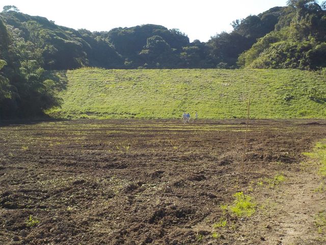 コロコロ農園 庄兵衛