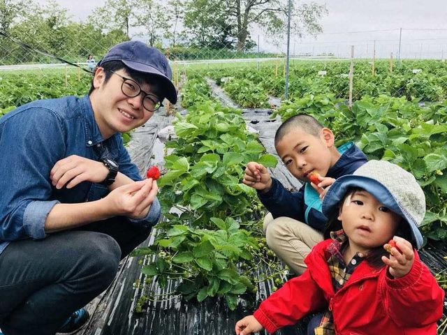 いちご狩りの様子_四稜郭ファーム 坂爪農園