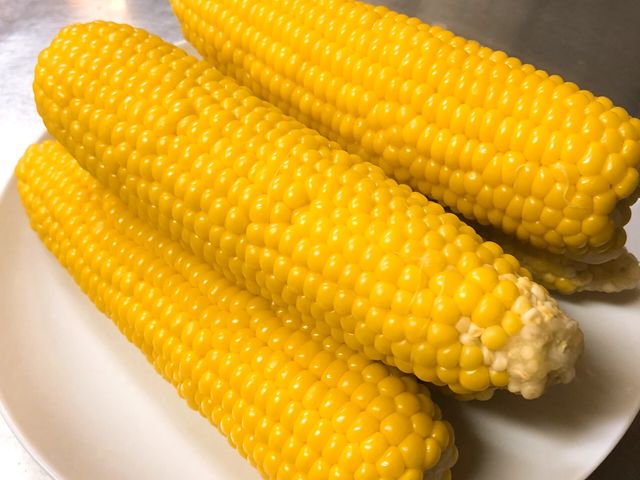 収穫したとうもろこし(恵ゴールド)。レンジでチンで食べられます。_四稜郭ファーム 坂爪農園