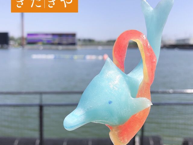 カラフルな飴細工を作ってみませんか?_あめ細工家 きたきや(飴細工)