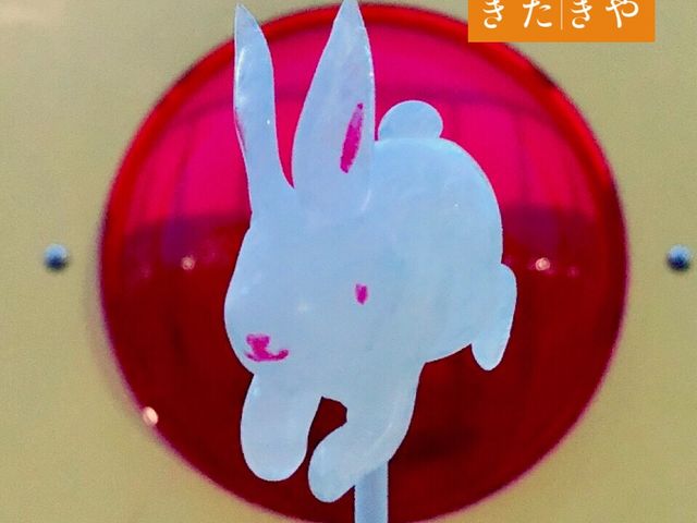 他ではなかなかできない珍しい体験教室です_あめ細工家 きたきや(飴細工)