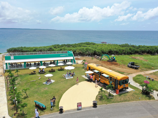 HARRY'S Shrimp Truck
