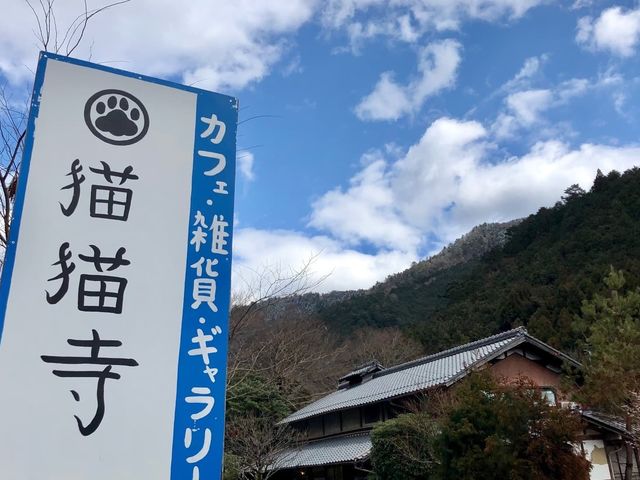 猫猫寺 開運ミュージアム