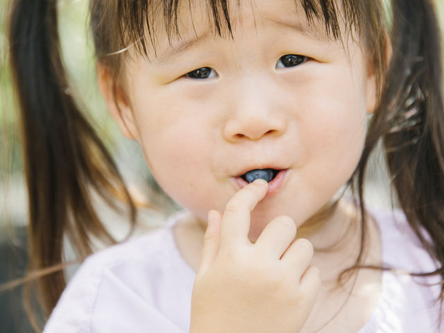 糖度が高いものが多く、こんな甘いブルーベリー初めて!と驚く方も少なくありません。_藤沢ブルーベリーファーム