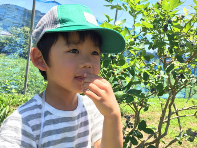 ★除草剤・★農薬は使用していません。
安心して試食をどうぞ。_農園 丹沢の薫り