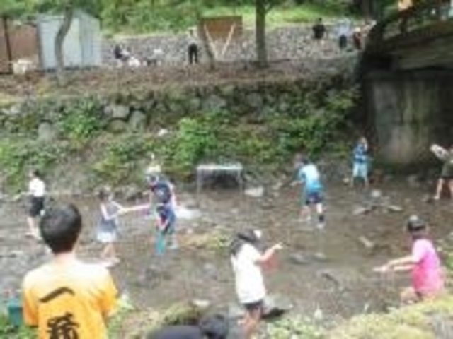 節安ふれあいの森