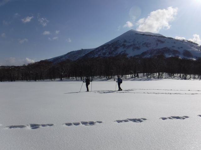 冬はスノーシューでトレッキング。ニセコの深雪をお楽しみ下さい。_guide office niseko MUKAVA