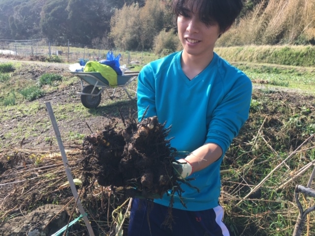 地元の無農薬農園体験&ランチ(要予約)で、
日頃の運動不足を解消しましょう!_オアシス和田浦