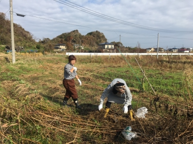 地元の畑で、耕す、種まき、収穫など、様々な体験ができます(要予約)_オアシス和田浦