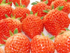 秋田農販の写真1