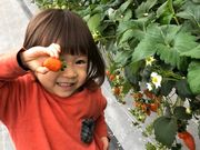 京らふれーずの写真3