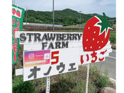 オノウエ農園〜Strawberry Farm “Ruby”〜の写真3