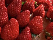 ストロベリーファーム雫の写真3