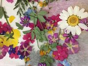 定山渓 てしごと 倶楽部の写真2