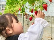 明城ファームの写真2