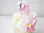 LA ROSE BLANCHEの写真3