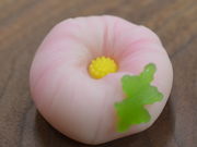 和菓子処 山陽堂の写真4
