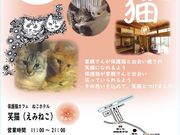 保護猫カフェ 笑猫の写真3