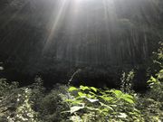 霧島神水峡の写真1
