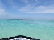 やえやま商店の写真4