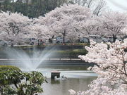 ステンドグラス工房グラスワンの写真2