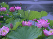 ステンドグラス工房グラスワンの写真3