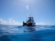 ロコアイランドの写真2