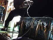 浜田市 遊漁船 第一陸前丸の写真1