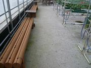 周年観光農園エコファームうちこの写真4