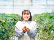 原田いちごファームの写真2