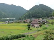 田舎プチ体験民泊「オレンジ屋根の小さな家」の写真4
