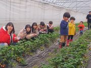 しらい農園の写真2