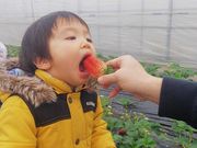 しらい農園の写真4