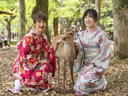 奈々屋の着物 奈良公園店の写真4
