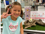 kafcaの写真4