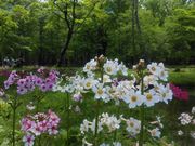 奥日光ゲストハウスJUNの写真2