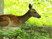 奥日光ゲストハウスJUNの写真3