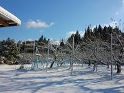 正岡観光りんご園の写真2