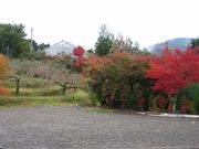 正岡観光りんご園の写真3