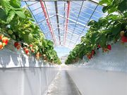 Slow Farmの写真4