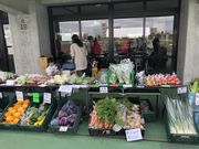 四稜郭ファーム 坂爪農園の写真4