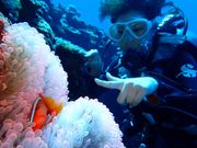 ダイブセンター ノーイの写真3