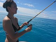 Island BJJの写真3