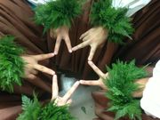 Hula hui o NaniMoe 狭山校の写真2