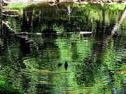 北海道アウトドアガイド Mother Nature's Sonの写真2