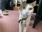 工房 花虫八放の写真3